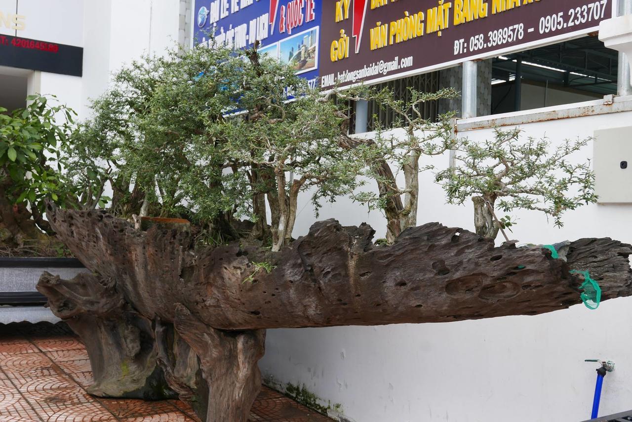 Allure Hotel Thuy Trieu Buitenkant foto
